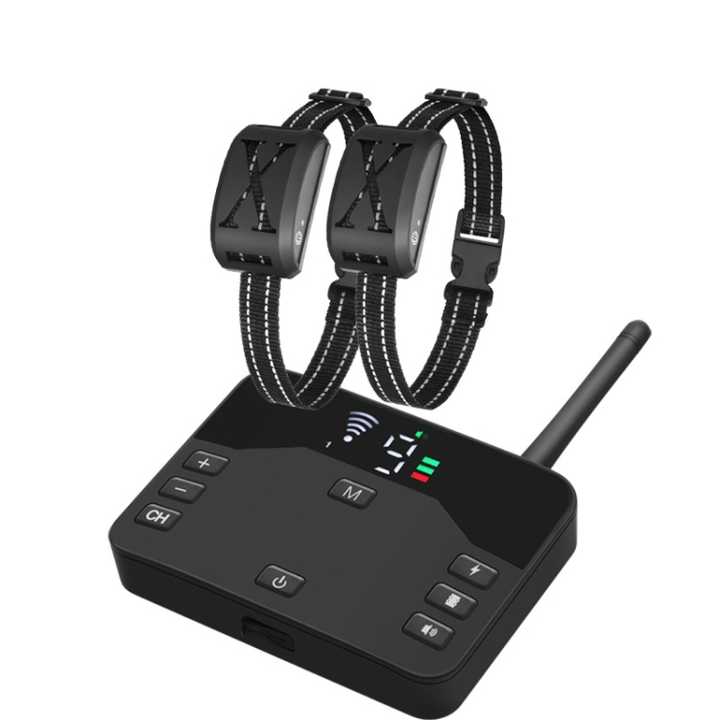 Golden Retriever wearing blue-lit GPS dog collar during outdoor training session. Owner monitors real-time location on smartphone map showing "5-6" distance indicator in grassy field.