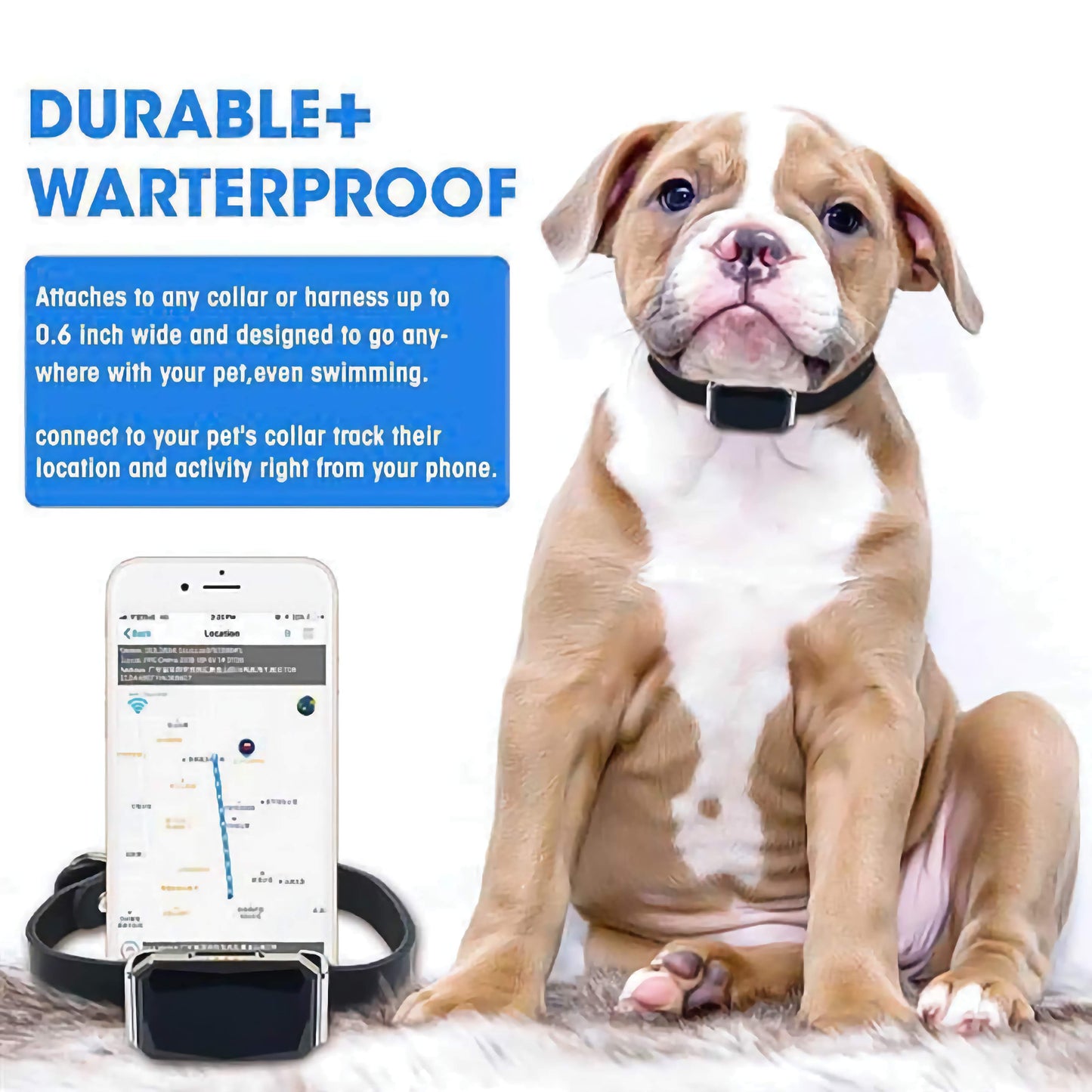 4G LTE GPS Pet Tracker Collar - Waterproof Dog & Cat Location Tracker, Anti-Loss Device