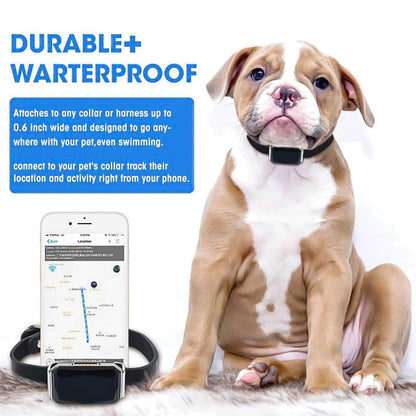 4G LTE GPS Pet Tracker Collar - Waterproof Dog & Cat Location Tracker, Anti-Loss Device