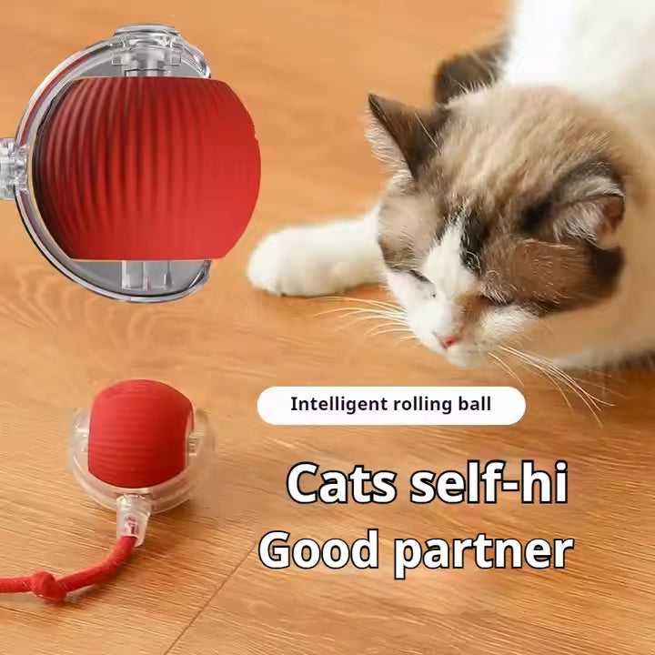 Smart Bouncing Ball - Self-Rolling Chew Proof Toy for Dogs & Cats, Automatic Pet Entertainment Ball with Jumping Motion