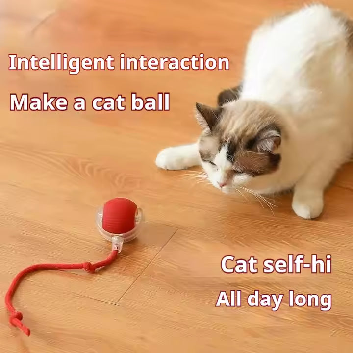 Smart Bouncing Ball - Self-Rolling Chew Proof Toy for Dogs & Cats, Automatic Pet Entertainment Ball with Jumping Motion