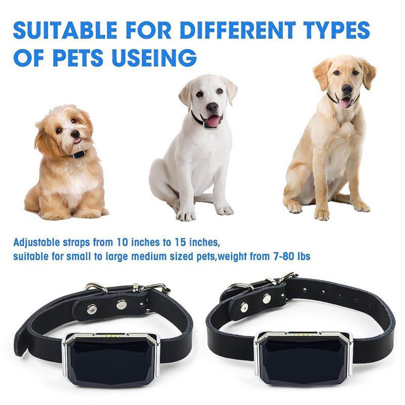 4G LTE GPS Pet Tracker Collar - Waterproof Dog & Cat Location Tracker, Anti-Loss Device