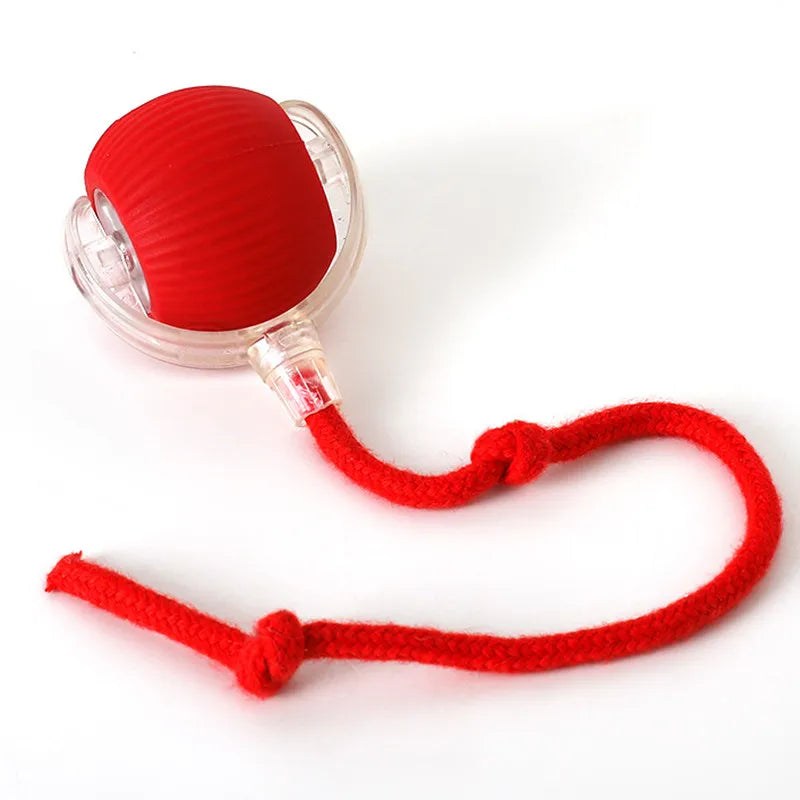 Smart Bouncing Ball - Self-Rolling Chew Proof Toy for Dogs & Cats, Automatic Pet Entertainment Ball with Jumping Motion